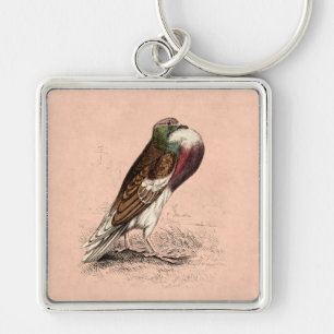 Vintage Pigeon Illustration - 1800's Bird Templat Key Ring