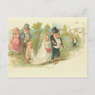 Vintage Pigs Wedding Postcard