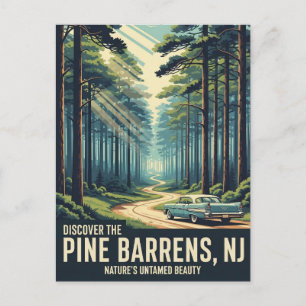 Vintage Pine Barrens New Jersey Travel Postcard