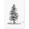 Vintage Pine Tree Ephemera Decoupage