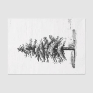 Vintage Pine Tree Ephemera Decoupage Tissue Paper