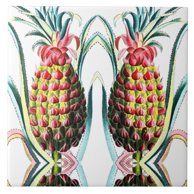 Vintage pineapple tropical fruit illustration ceramic tile (Front)