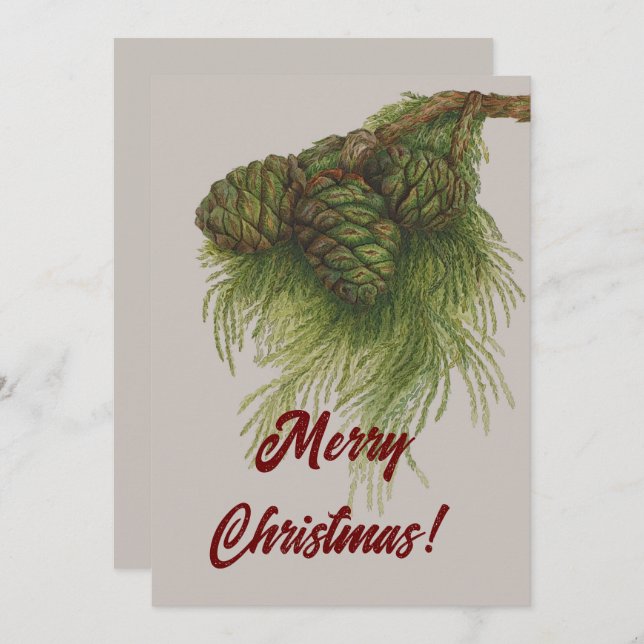 Vintage Pinecones Merry Christmas  Holiday Card (Front/Back)
