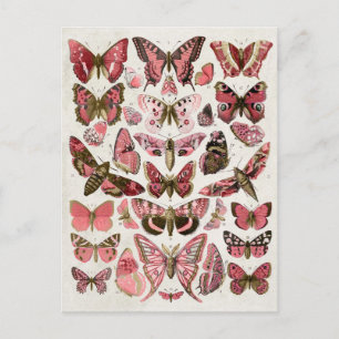 Vintage Pink Butterflies Postcard