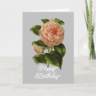 Vintage Pink Camellia Albino Botti Birthday Card