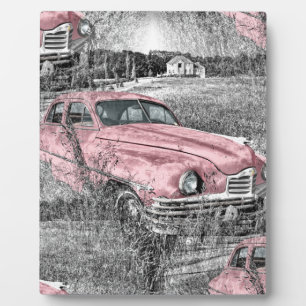 vintage pink car plaque