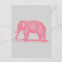 Vintage Pink Elephant on Grey 1800s Elephants