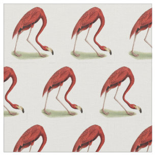 Vintage Pink Flamingo #1 Fabric