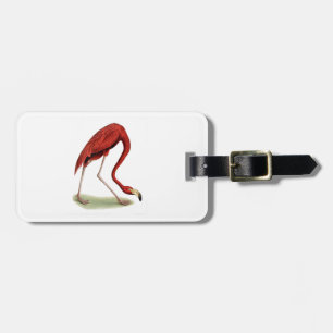 Vintage Pink Flamingo #1 Luggage Tag