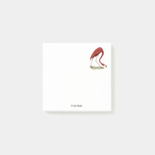 Vintage Pink Flamingo #1 Post-it Notes
