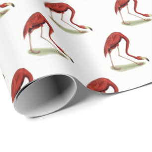 Vintage Pink Flamingo #1 Wrapping Paper
