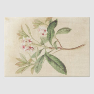 Vintage Pink Floral Delicate Botanical Decoupage Tissue Paper