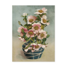 Vintage Pink Flowers in Blue Vase
