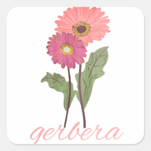 vintage pink gerbera for flowers lover square sticker