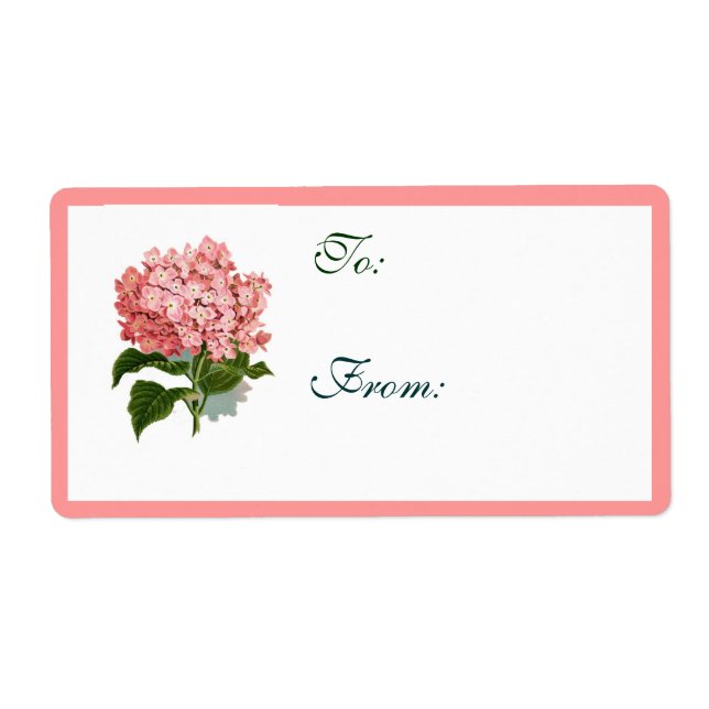 Vintage Pink Hydrangea Botanical Illustration  (Front)