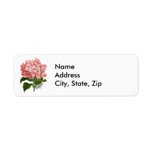 Vintage Pink Hydrangea Botanical Illustration Return Address Label