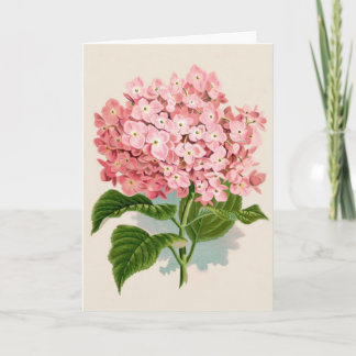 Vintage Pink Hydrangea Card