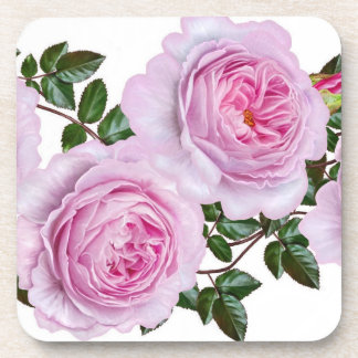 Vintage Pink Peonies coaster