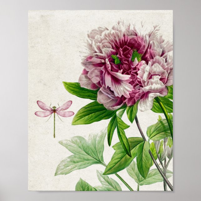 Vintage Pink Rose and Dragonfly Wall Art (Front)