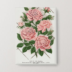 Vintage Pink Rose Botanical Cottagecore Art