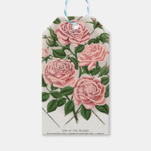 Vintage Pink Rose Botanical Cottagecore Art Gift Tags