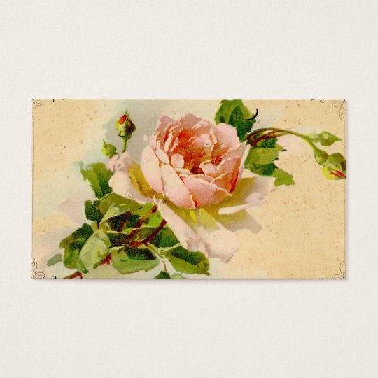 Vintage Pink Rose Business Profile Card