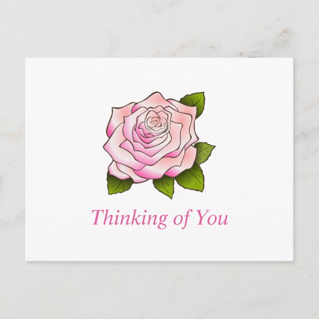 Vintage Pink Rose Drawing Custom Postcard (Front)