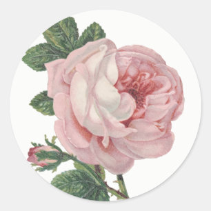 Vintage Pink Rose Flower Shabby Chic Wedding Classic Round Sticker