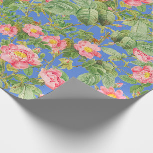 Vintage Pink Rose Gift Paper in Cornflower Blue