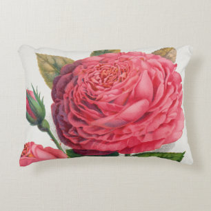 Vintage Pink Rose Illustration Decorative Cushion