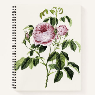 Vintage Pink Rose Timeless Notebook