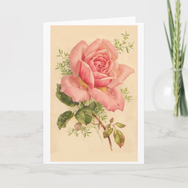 Vintage Pink Rose with Dew Drops, Card (Front)