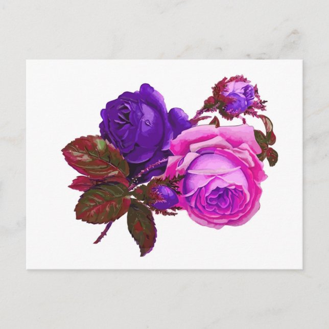 Vintage Pink Roses - Gifts Postcard (Front)