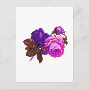 Vintage Pink Roses - Gifts Postcard