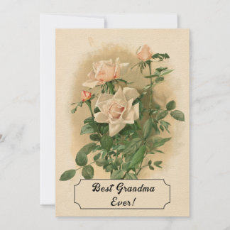 Vintage Pink Roses Greeting Card