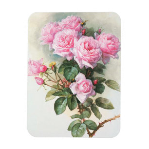Vintage Pink Roses Painting Magnet