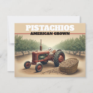 Vintage Pistachio Farming Postcard