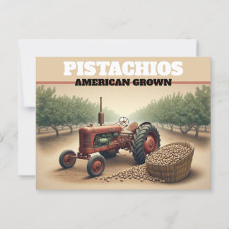 Vintage Pistachio Farming Postcard
