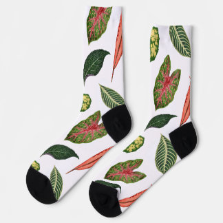 Vintage Plant Leaf Novelty Socks - White