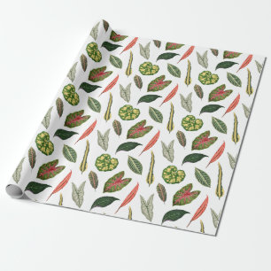 Vintage Plant Leaf Novelty Wrapping Paper - White