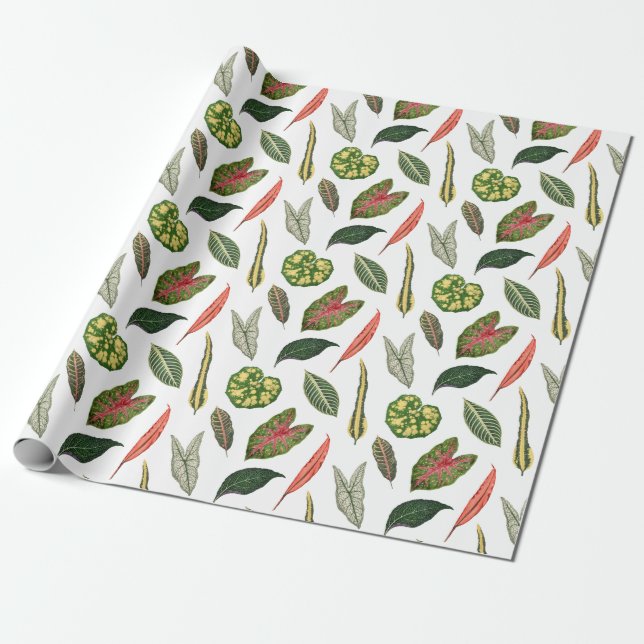 Vintage Plant Leaf Novelty Wrapping Paper - White (Unrolled)