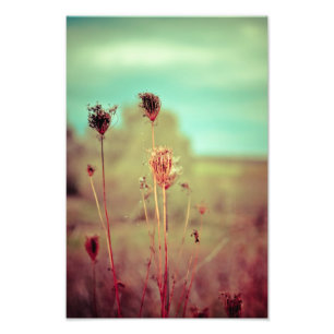 Vintage plants photo print