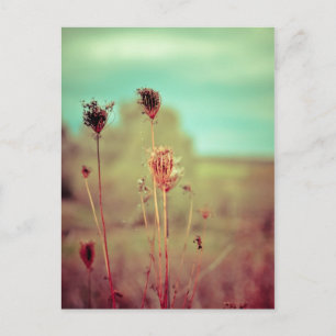 Vintage plants postcard