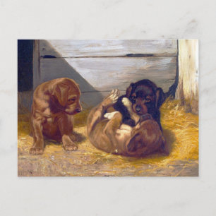 Vintage Playing Puppies Postcard
