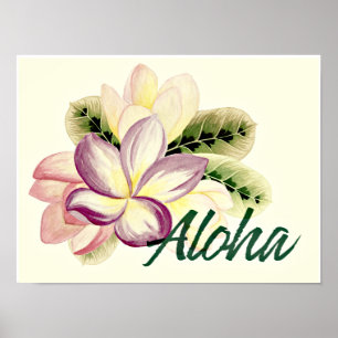 Vintage Plumeria Aloha  Poster