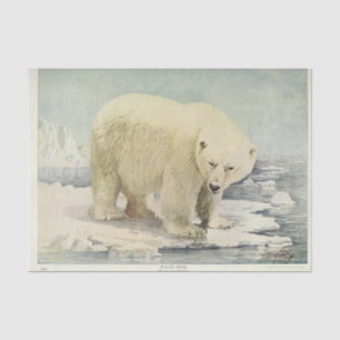 Vintage Polar Bear Ephemera Decoupage Tissue Paper