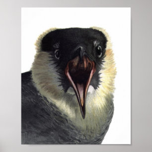 Vintage Pomarine Jaeger Poster Print