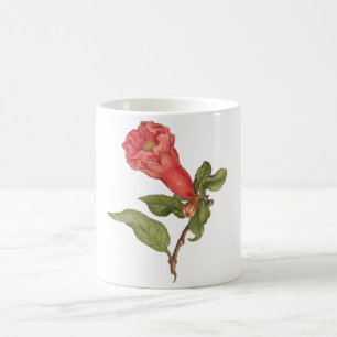 Vintage pomegranate flower blooming illustration coffee mug
