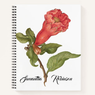 Vintage pomegranate flower blooming illustration notebook