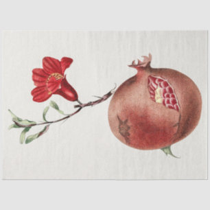 Vintage pomegranate tissue paper
